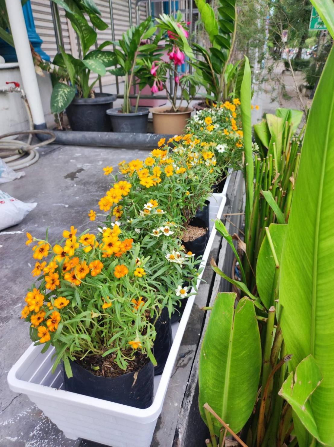 Mstay Bangkok Ngoại thất bức ảnh